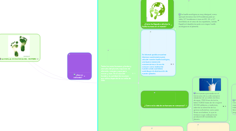 Mind Map: LA HUELLA  ECOLÓGICA DEL  HOMBRE