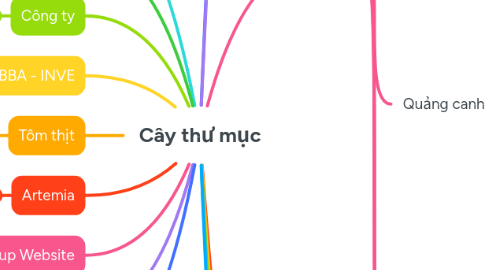 Mind Map: Cây thư mục