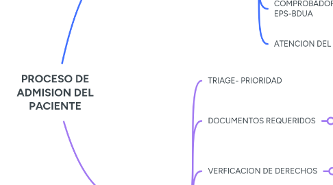 Mind Map: PROCESO DE ADMISION DEL PACIENTE