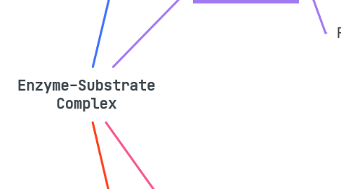 Mind Map: Enzyme-Substrate Complex