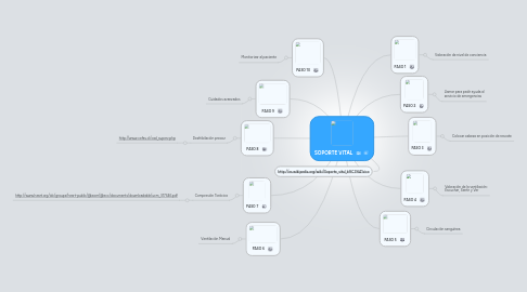 Mind Map: SOPORTE VITAL