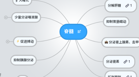 Mind Map: 脊髓
