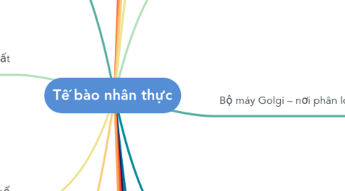 Mind Map: Tế bào nhân thực