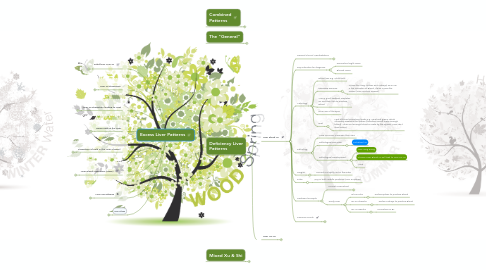 Mind Map: Excess Liver Patterns