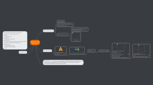 Mind Map: Soporte Vital 13001470