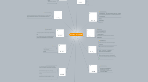 Mind Map: SOPORTE VITAL (EMB)