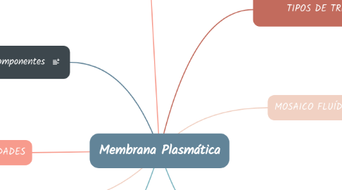 Mind Map: Membrana Plasmática