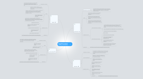 Mind Map: Quemaduras, fracturas, heridas y convulsiones