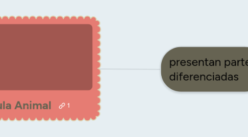 Mind Map: Célula Animal
