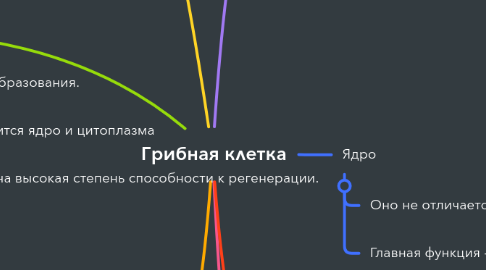 Mind Map: Грибная клетка