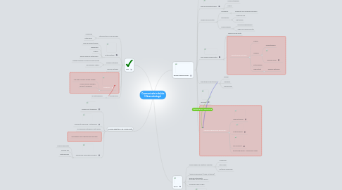 Mind Map: Communicatie in de klas (Observatiestage)