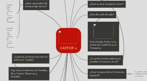 Mind Map: CASTOR