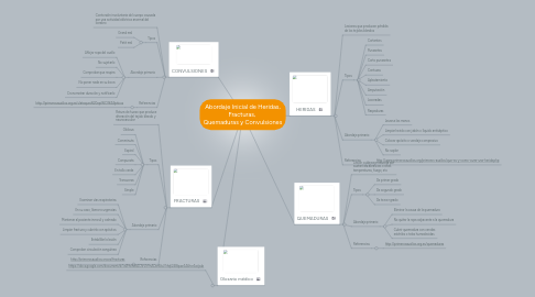 Mind Map: Abordaje Inicial de Heridas, Fracturas, Quemaduras y Convulsiones