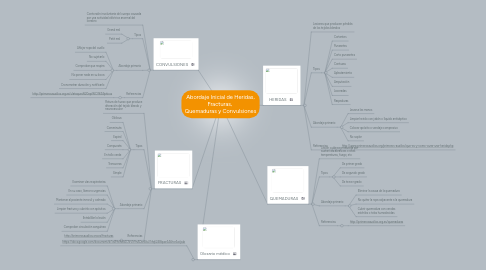 Mind Map: Abordaje Inicial de Heridas, Fracturas,  Quemaduras y Convulsiones