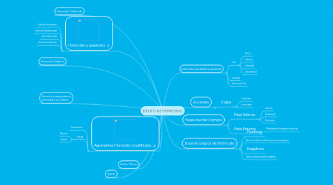 Mind Map: DELITO DE HOMICIDIO