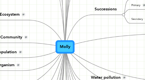 Mind Map: Molly