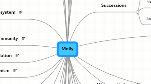 Mind Map: Molly