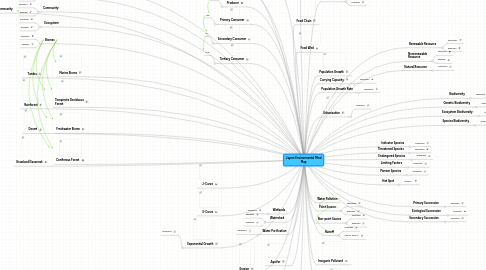 Mind Map: Jayme Environmental Mind Map