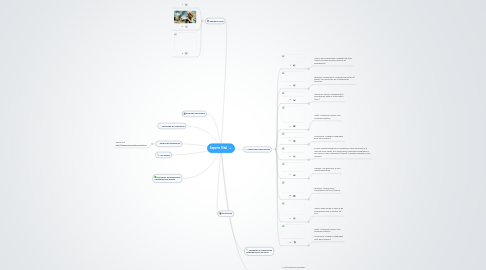 Mind Map: Soporte Vital