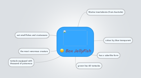 Mind Map: Box JellyFish