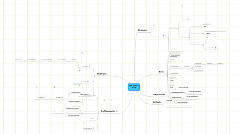 Mind Map: Rob Science Vocab