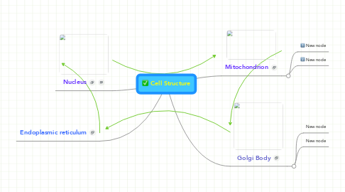 Mind Map: Cell Structure