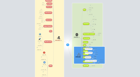 Mind Map: PLE