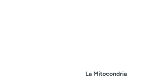 Mind Map: La Mitocondria