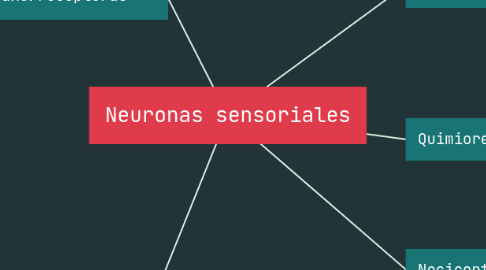 Mind Map: Neuronas sensoriales