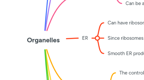 Mind Map: Organelles