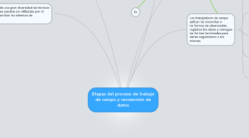 Mind Map: Etapas del proceso de trabajo de campo y recolección de datos