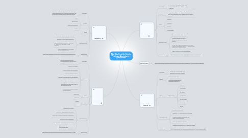 Mind Map: Abordaje Inicial de Heridas, Fracturas, Quemaduras y Convulsiones