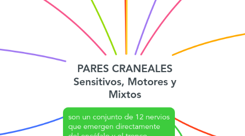 Mind Map: PARES CRANEALES Sensitivos, Motores y Mixtos