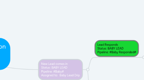 Mind Map: REI Automated Acquisition Process Lead Statuses