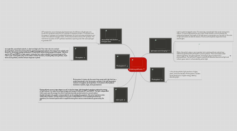 Mind Map: photosynthesis