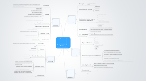 Mind Map: Abordaje Inicial de Heridas, Fracturas, Quemaduras y Convulsiones