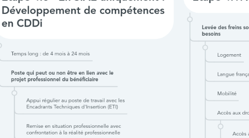 Mind Map: Parcours d'insertion (vécu du bénéficiaire)