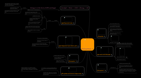 Mind Map: Photosynthesis