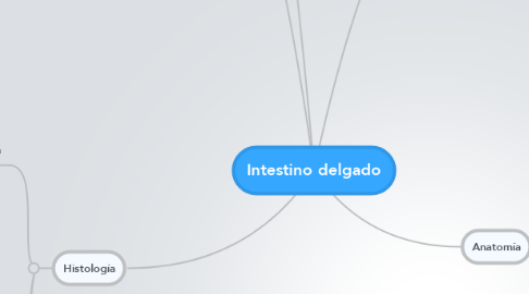 Mind Map: Intestino delgado