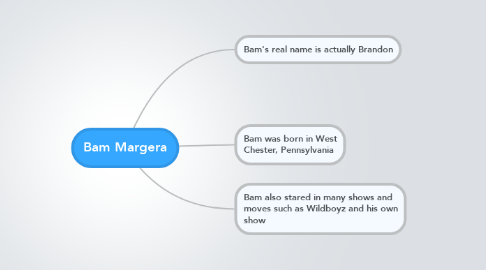 Mind Map: Bam Margera