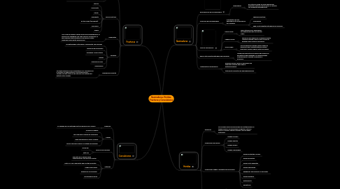 Mind Map: Quemaduras, Heridas, Fracturas y Convulsiones