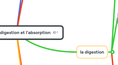 Mind Map: les aiments, la digestion et l'absorption