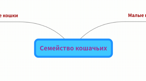 Mind Map: Семейство кошачьих