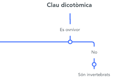Mind Map: Clau dicotòmica