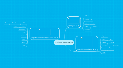 Mind Map: Cellular Respiration