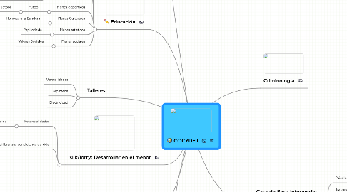 Mind Map: COCYDEJ