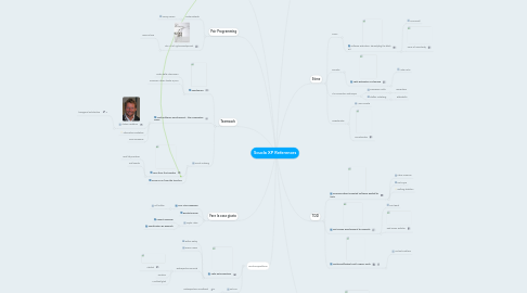 Mind Map: Scuola XP References