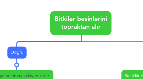 Mind Map: Bitkiler besinlerini topraktan alır
