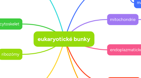 Mind Map: eukaryotické bunky