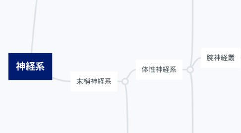 Mind Map: 神経系